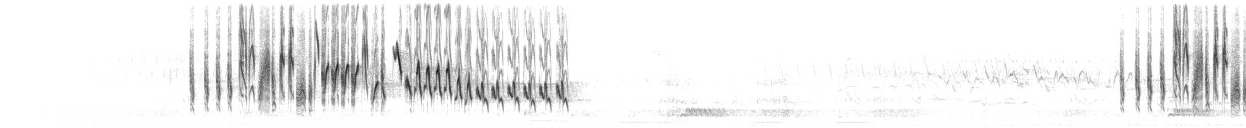 Troglodyte familier (groupe aedon) - ML442286181