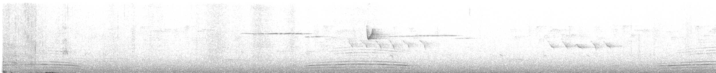 Трагопан сірогрудий - ML442358131