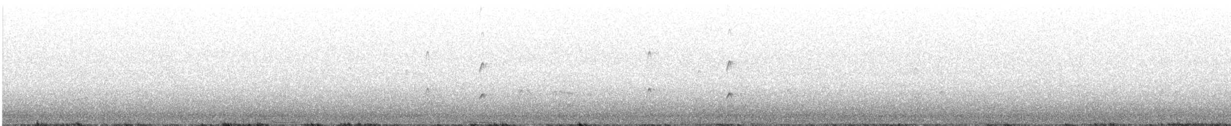 Arctic Tern - ML442436601