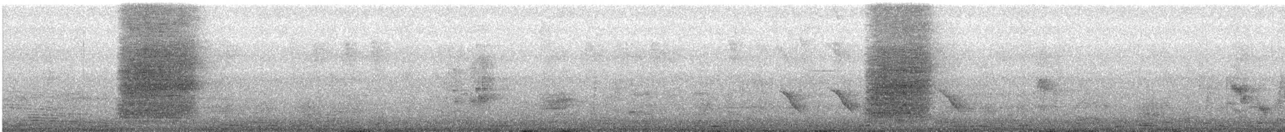 svartnakkepirol (diffusus) - ML442451041