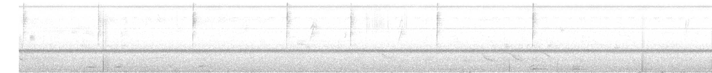 Schwarzbrust-Mangokolibri - ML442462161