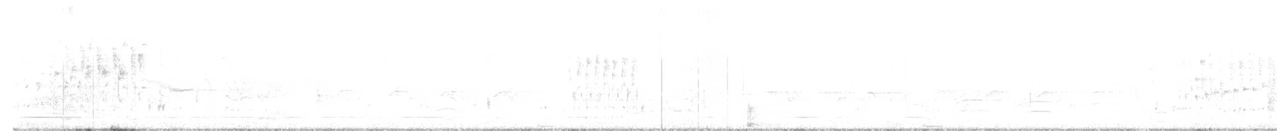 Troglodyte des marais - ML442486341