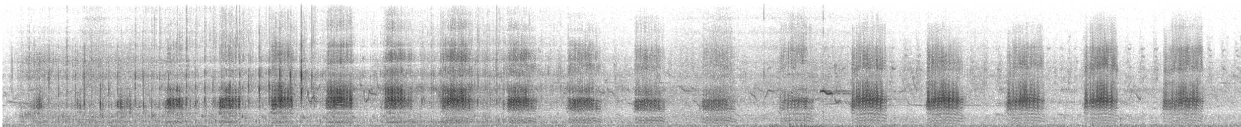 Fuligule milouin - ML442503821