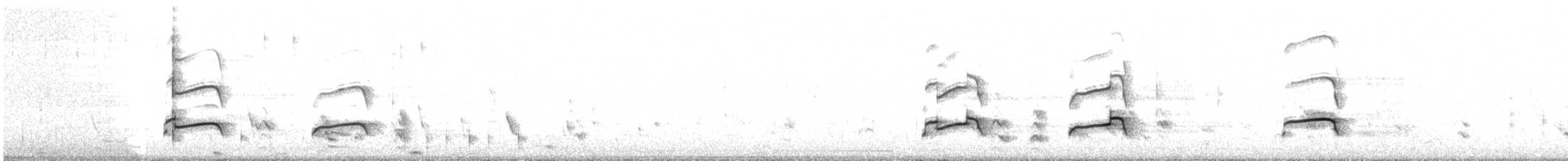 Fischadler (carolinensis) - ML442511871