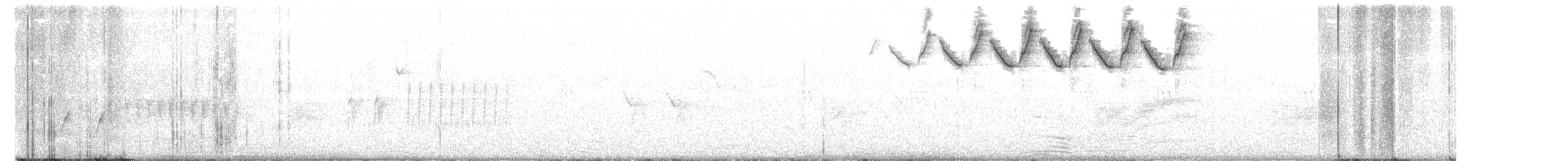 Black-and-white Warbler - ML442573391
