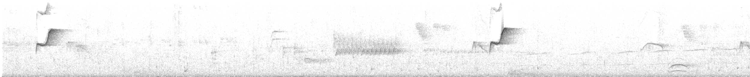 Western Flycatcher (Pacific-slope) - ML442638541