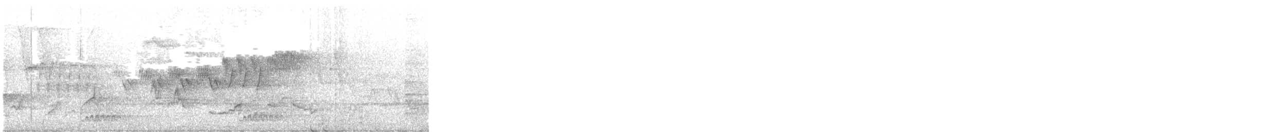 Cerulean Warbler - ML442649121