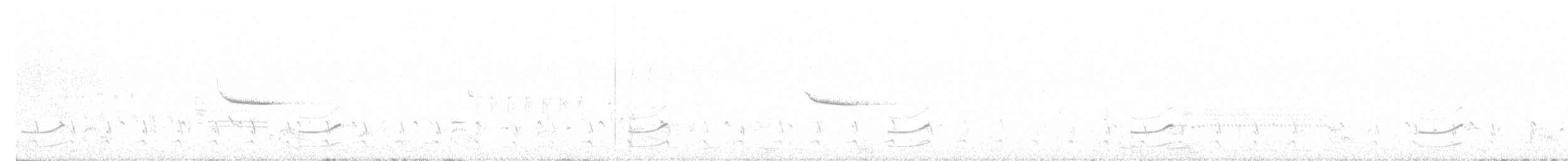 Каролинский погоныш - ML442652131