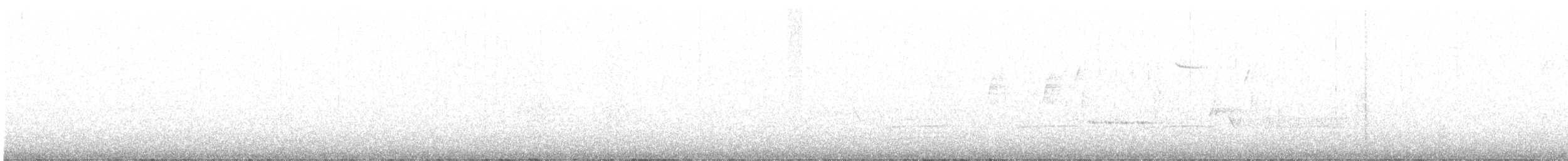 Белогорлая зонотрихия - ML442670771