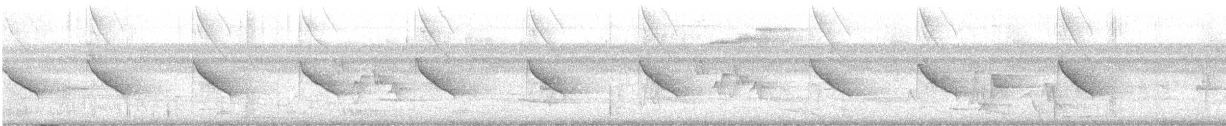 Белогорлая сорокопутовая танагра - ML442709861