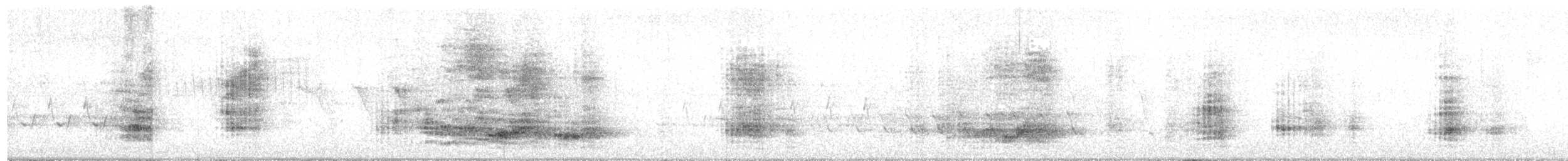 Aura Gallipavo - ML442811061