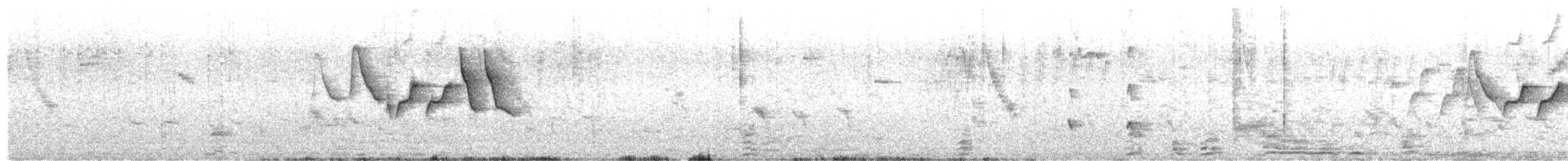 Northern/Mangrove Yellow Warbler - ML442836021