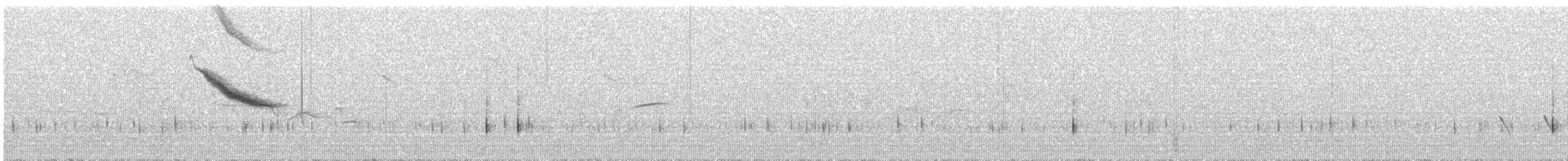 Nilgiri Pipit - ML442888731
