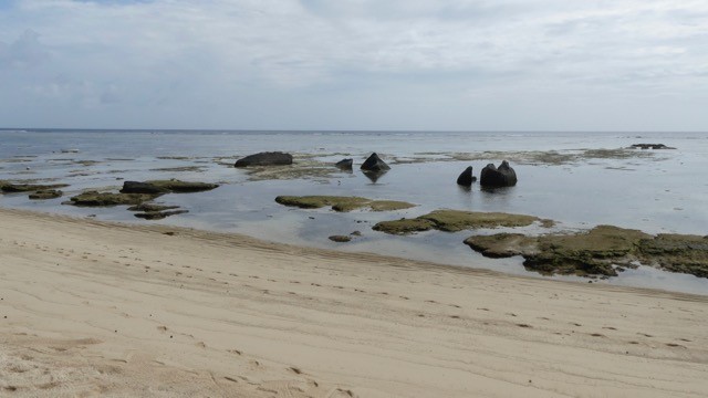 Тольт бор тодол - ML44290001