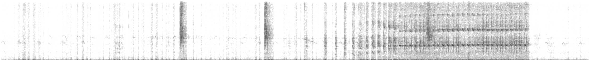 Белокрылый пересмешник - ML442914441