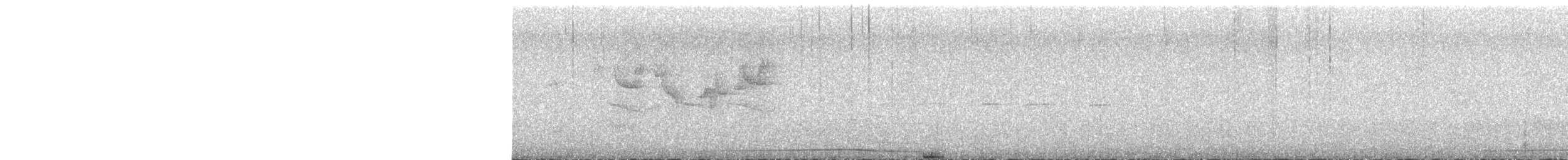 holub klínoocasý - ML442961391