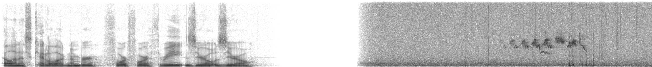 Black-throated Gray Warbler - ML44300