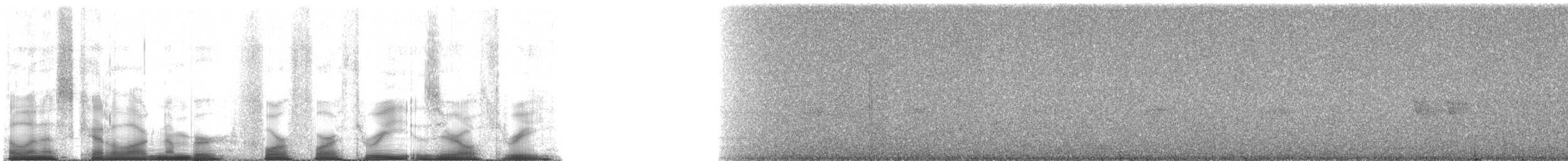 Coppery-tailed Trogon - ML44303