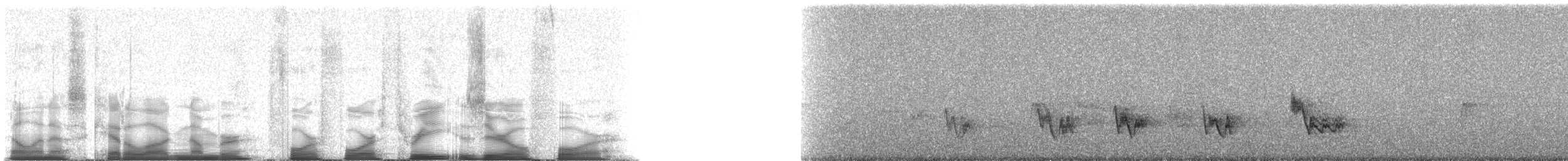 Western Tanager - ML44304