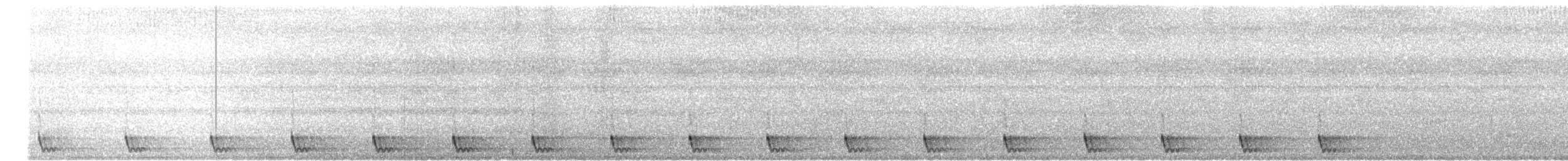 Chotacabras Macruro - ML443040291