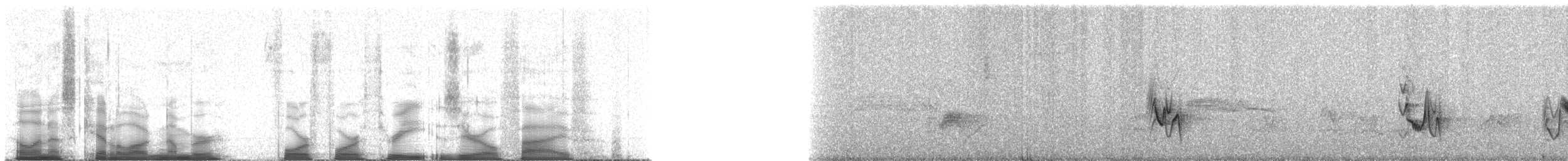 Plumbeous Vireo (Plumbeous) - ML44305