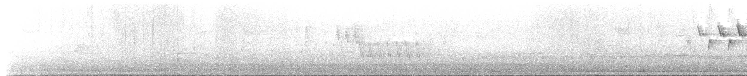 Naşvil Ötleğeni - ML443076361