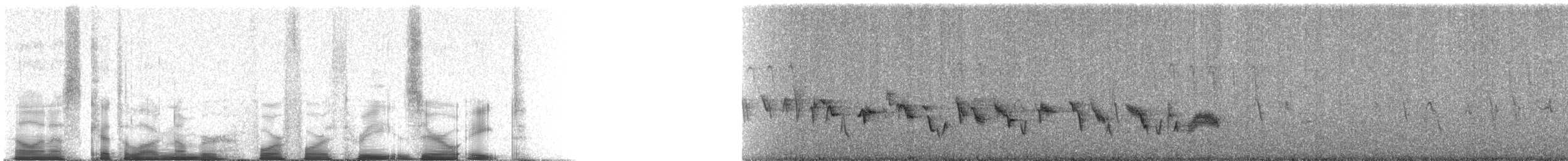 House Finch - ML44308