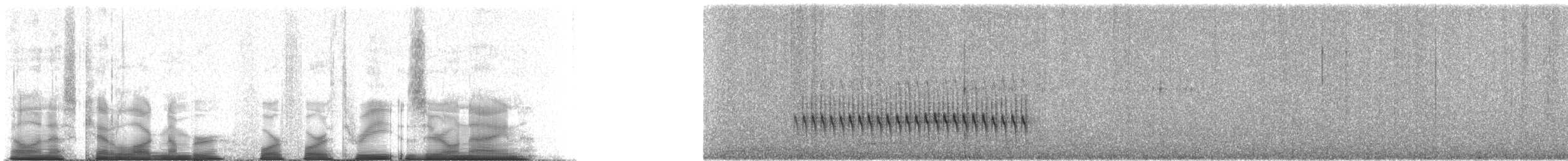 Bridled Titmouse - ML44309