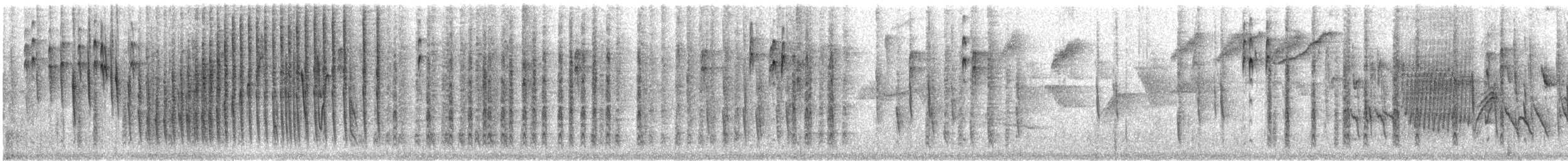 Superciliaried Hemispingus - ML443091091