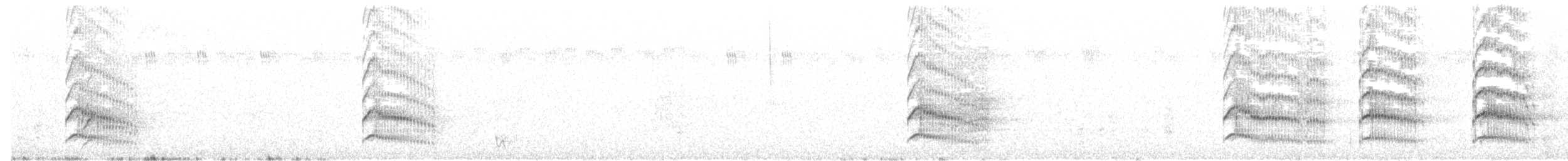 White Woodpecker - ML443093481