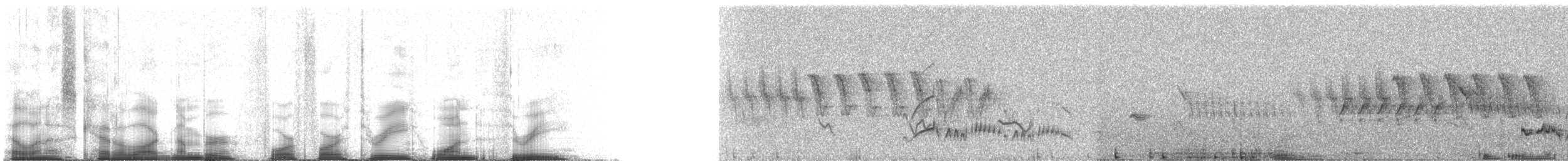 Ash-throated Flycatcher - ML44313