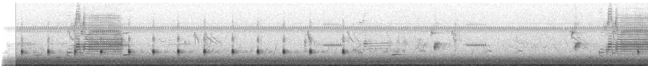 Râle de Virginie - ML443130591