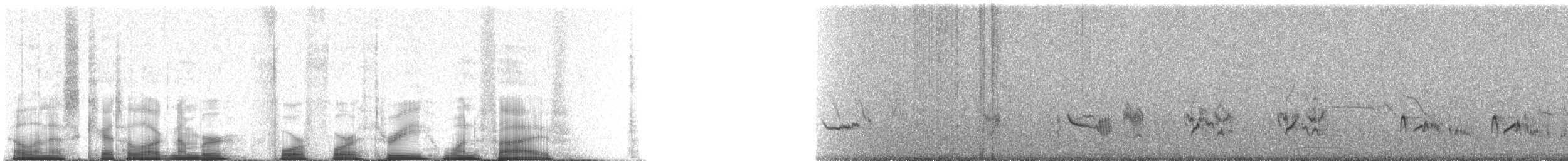 Northern Mockingbird - ML44315