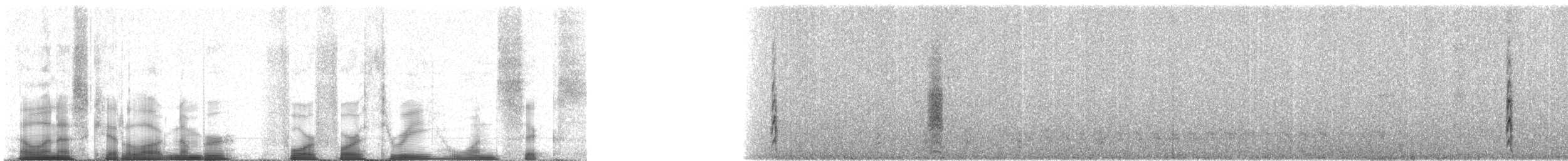 Hooded Oriole (nelsoni Group) - ML44316