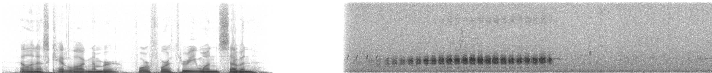 Cactus Wren - ML44317