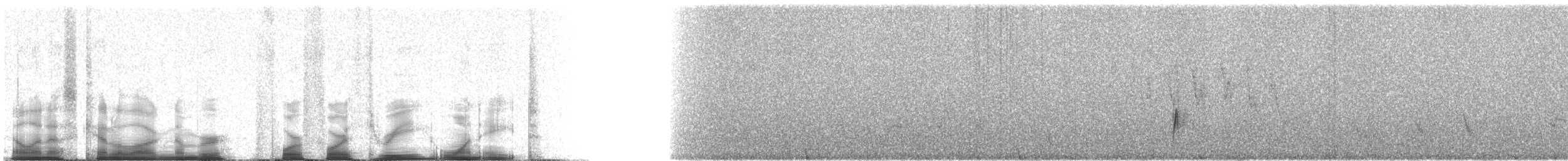 Western Kingbird - ML44318