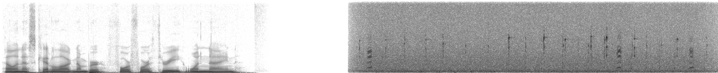 Gambel's Quail - ML44319