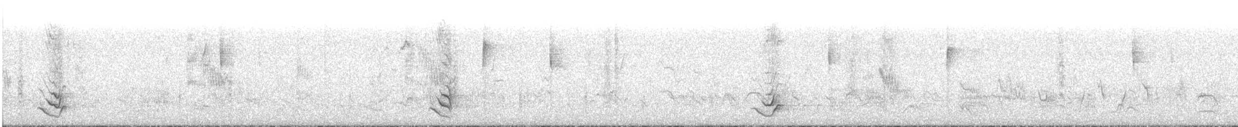 Langschnabel-Spottdrossel - ML44322891