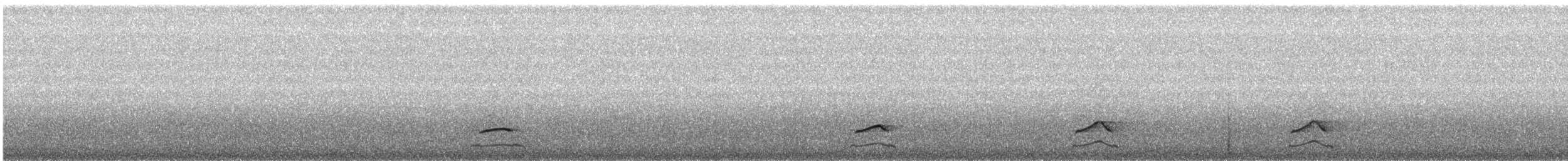 Хотны бүгээхэй - ML443247601