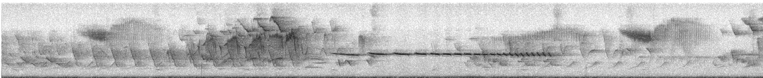 Голубокрылая червеедка - ML443327531