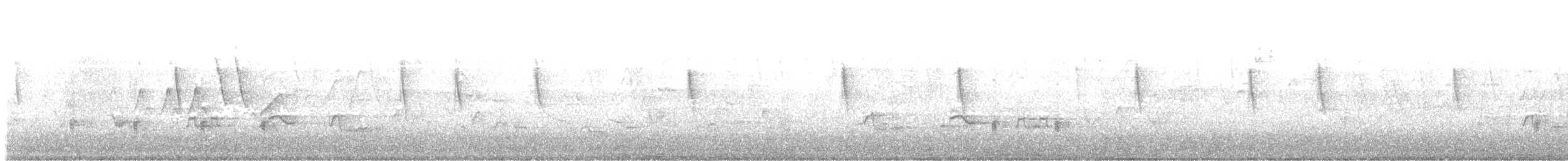 Virginia Rail - ML443393601