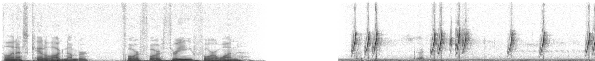 Curve-billed Thrasher (curvirostre Group) - ML44341