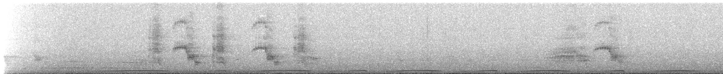 holub raiatejský - ML443412331