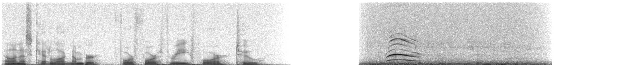 Gambel's Quail - ML44342