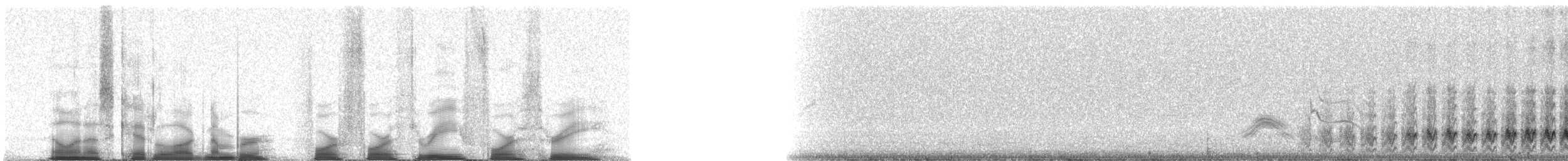 Cactus Wren - ML44343