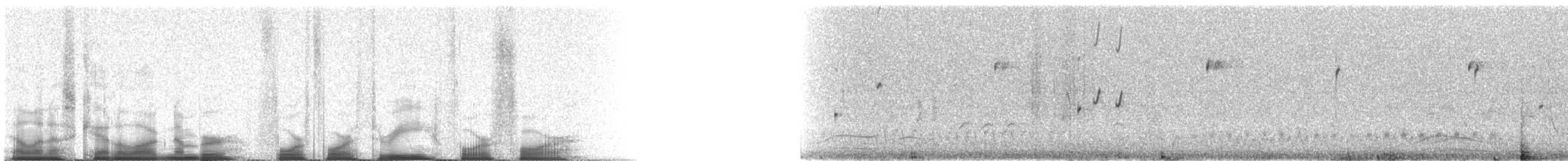 Black-throated Sparrow - ML44344