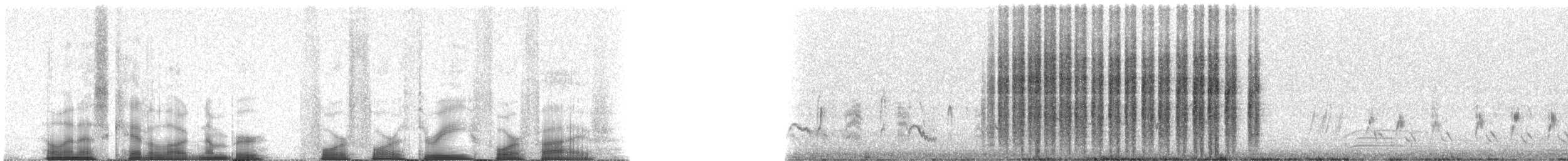 Cactus Wren - ML44345