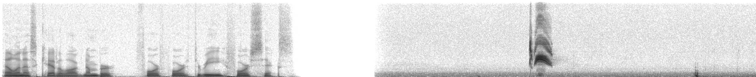 Cassin's Kingbird - ML44346