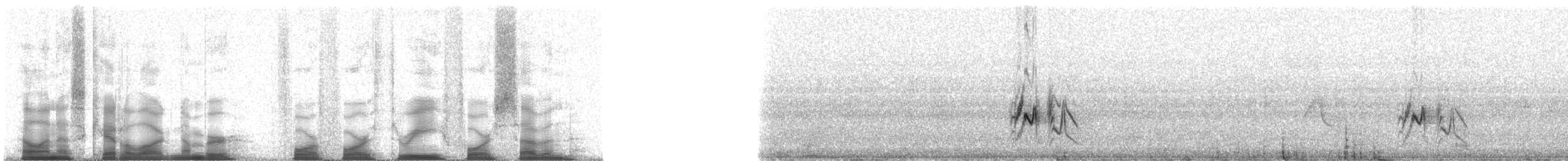 Plumbeous Vireo (Plumbeous) - ML44347