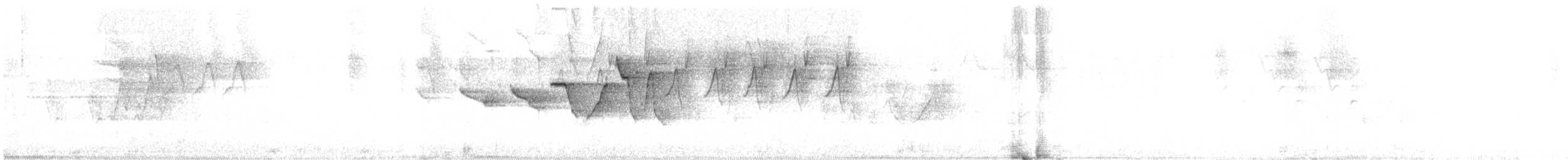 Swainsonwaldsänger - ML443482411